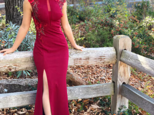 Modern Cheongsam